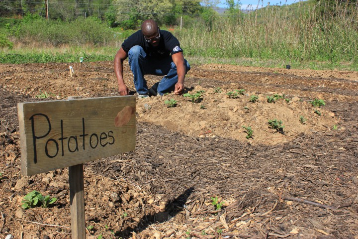 Wille Jones at the Cullowhee Community Garden. Photo by Tanner Hall. 