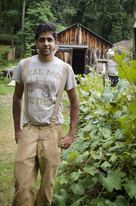 Patchwork Farms founder Sunil Patel. (Carrie Eidson/Mountain Xpress)