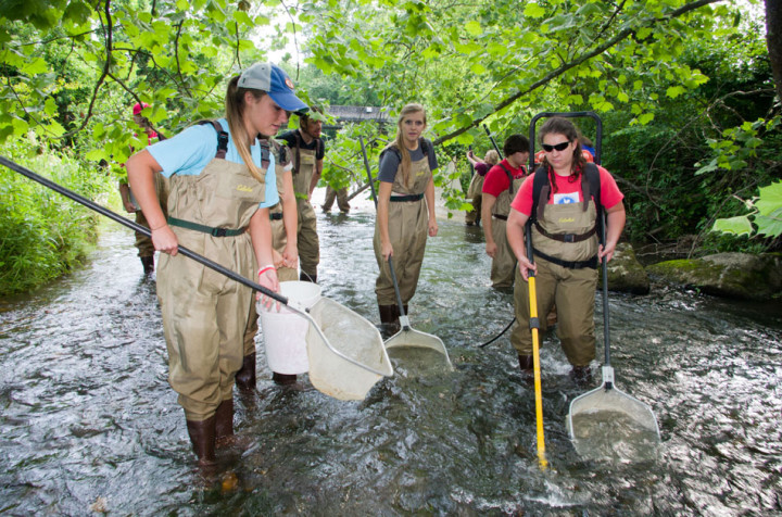 FIELD TRIP: Franklin High School students participated in a May biological-monitoring project coordinated by the Land Trust for the Little Tennessee.