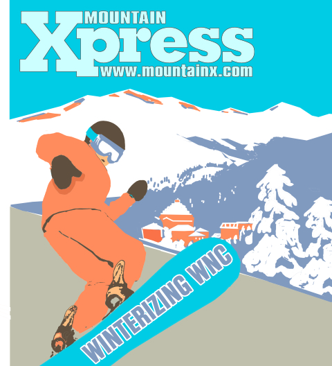 ski cover snowboard winter
