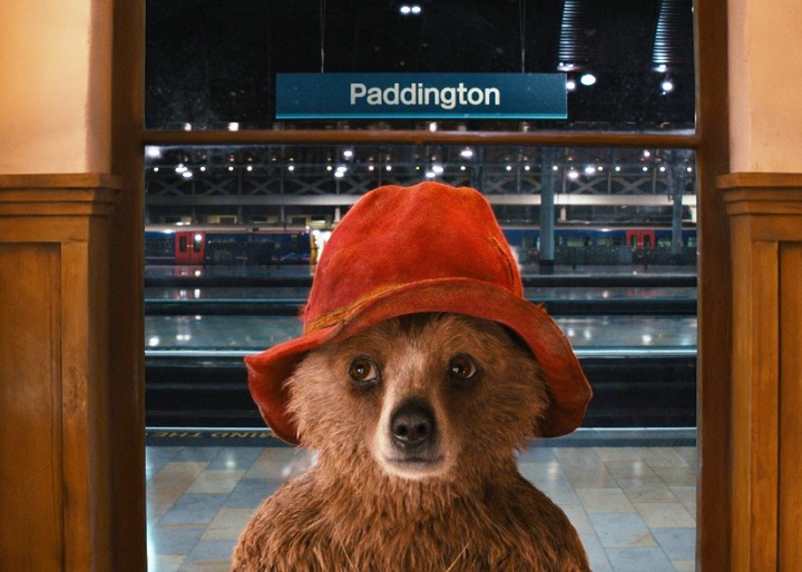 Paddington-Bear