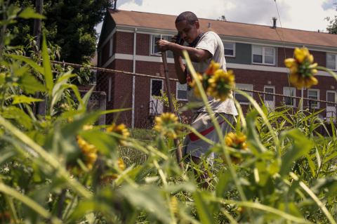 Sir Charles Gardner works in the Pisgah View Peace Garden, a community garden and commercial enterprise that grows food for — and employees — public housing residents. 