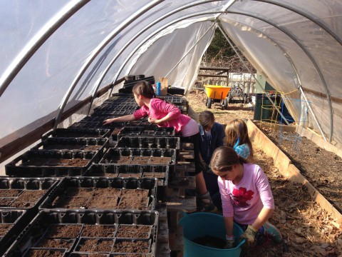Growing up: Fifth grade students at Evergreen Community Charter work in the school's hoop house as part of their community (and student) supported agriculture project and entrepreneurial venture. 
