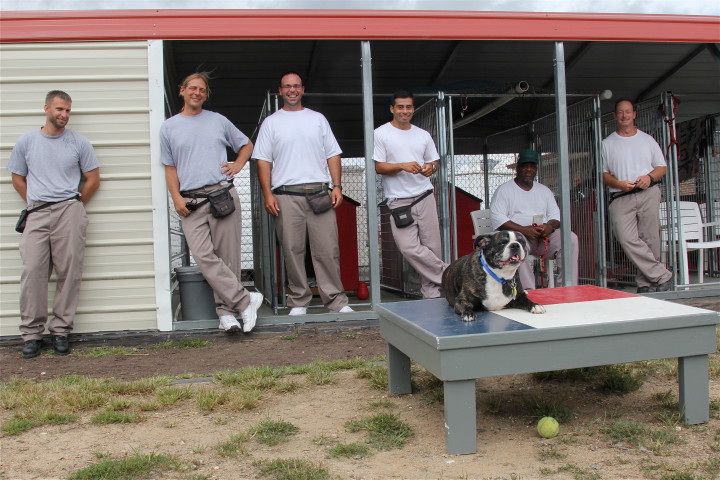 Eight year old Sherman, a boston terrier mix, taking a break from trainers, Left to Right, Buddy Mckay, Scott Stough, Chris Tarantino, Eric Valdez, Anthony Johnson, and Kenneth Hardy. Photo by Sarah Adeline Harnden