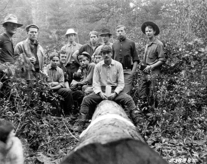 The 1905 class of Biltmore Forest School in the Pink Beds area of what is now Pisgah National Forest. Standing, left to right: first man unidentified, Bradley, Farber Burbridge, Robert Laughlin, W. O. Davis, D. D. Bronson, I. F. Eldredge; seated, left to right: Kenneth Damon, Walter Mosenthal, Herman L. Tucker, Clarence Griffith, Marcus Schaaf. Photo courtesy of the Forest History Society, Durham, NC.