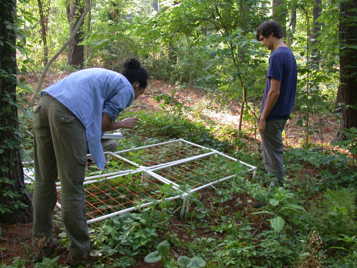 The $316,882 NSF grant will be used in research at UNC Asheville to track the effects of year-to-year climate variability and long-term environmental change on local and global ecology. Photo courtesy of UNC-A