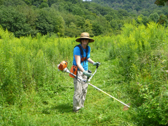 BLAZING TRAILS: As part of its June 4 Land Trust Day celebrations, SAHC is calling for volunteers to help improve trail infrastructure at the Hampton Creek Cove State Natural Area in East Tennessee. Photo courtesy of SAHC
