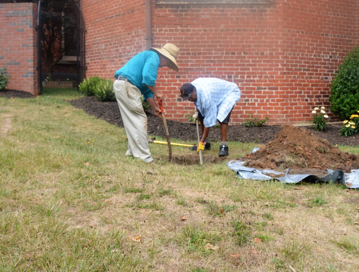 Ben Trotter, left, and Eeward Smith prepare to plant a Japanese maple tree for the 150th anniversary celebration at St. Matthias Episcopal Church.