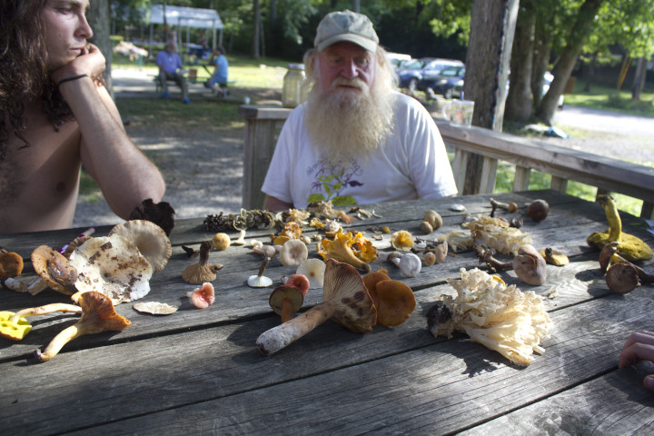 FUN WITH FUNGI: Mushroom expert Ken Crouse revealed an astonishing variety of local mushrooms to those taking part in his mushroom walks. Photo by Gary Kent