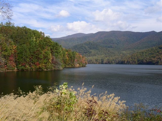 A WORLD APART: The pristine natural environment surrounding the North Fork Reservoir protects some of the highest-quality water in the country. Photo courtesy of the city of Asheville