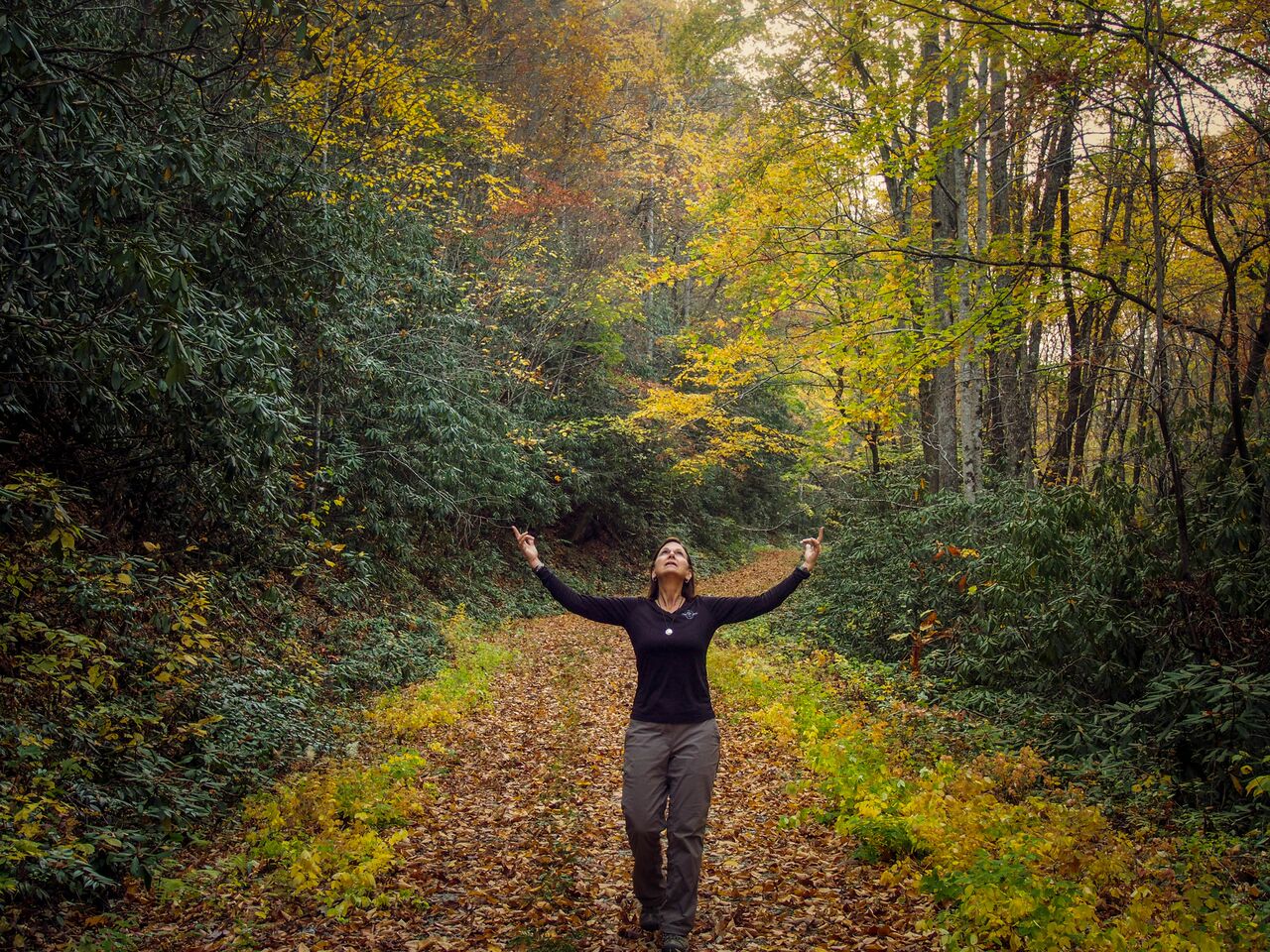 The Art Of Forest Bathing Comes To WNC Mountain Xpress