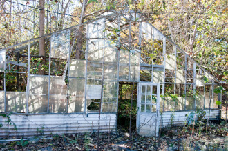 Original greenhouse built in the 60s, still standing at Smith Mill Works, captured by local photographer Cindy Kunst of CLicks Photography