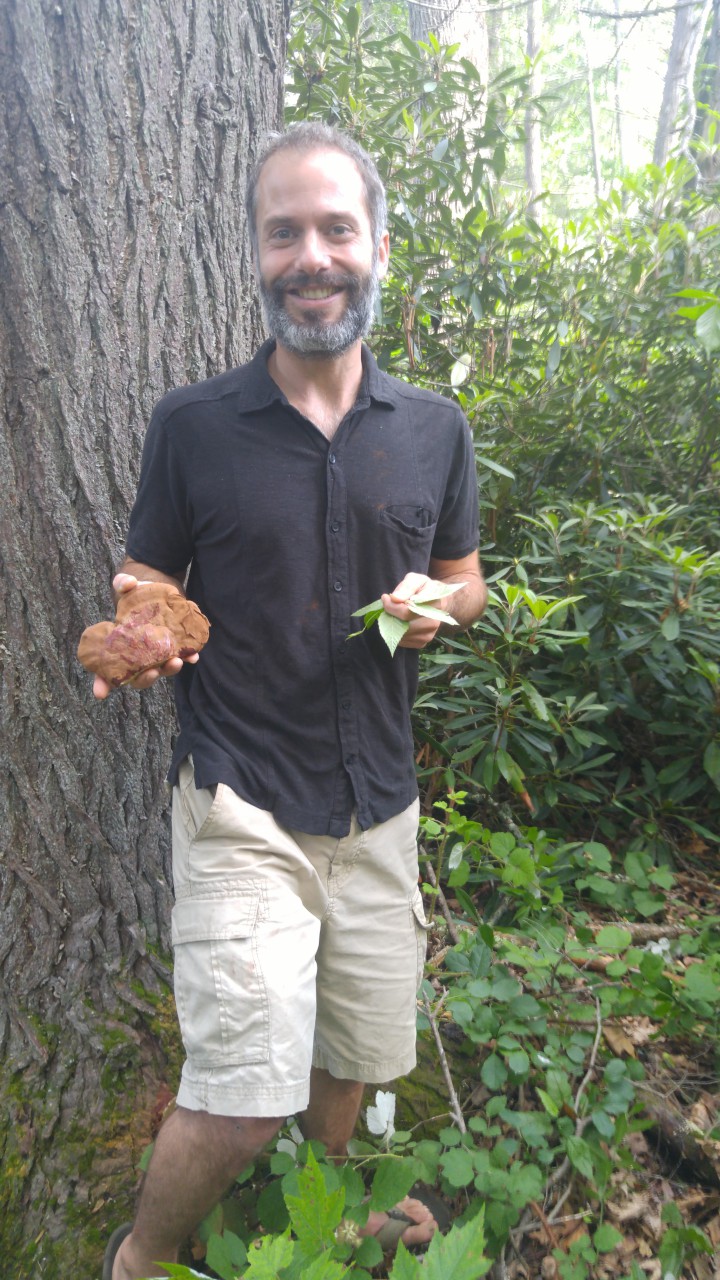 WILD THINGS: Dimitri Magiasis finds reishi mushrooms and edible leaves from a basswood tree by a trailhead in Candler. Photo by Nicki Glasser