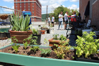 Planting boxes built by Coleman Smith line the edges of the garden-in-progress. Photo by Virginia Daffron