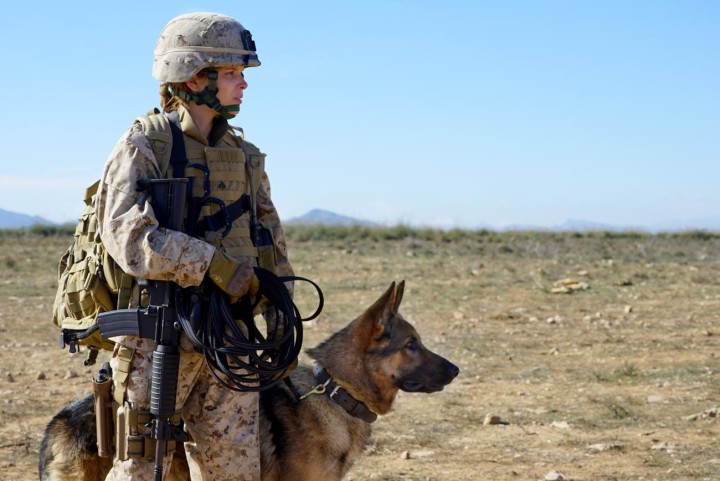 MOVIE-REVIEW-MEGAN-LEAVEY-1300x868