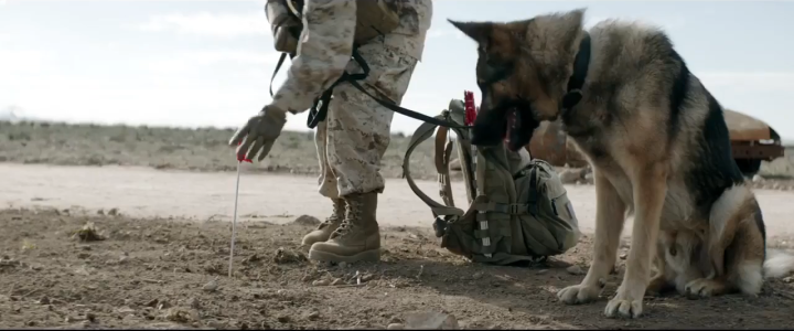 Megan-Leavey-Photo-6