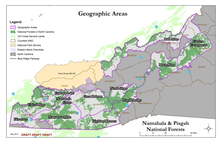 MAPPING IT OUT: Thousands of acres of the Nantahala and Pisgah national forests have been divided into 12 geographical areas for planning purposes. Map courtesy of the National Forests in North Carolina