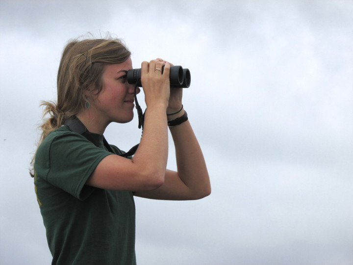 EAGLE-EYED: Emily Kimmel keeps her eyes on the skies during a previous Hawk Watch at Grandfather Mountain. Binoculars and cameras aid in viewing the migrating raptors, but most birds are visible with the naked eye. Photo courtesy of the Grandfather Mountain Stewardship Foundation
