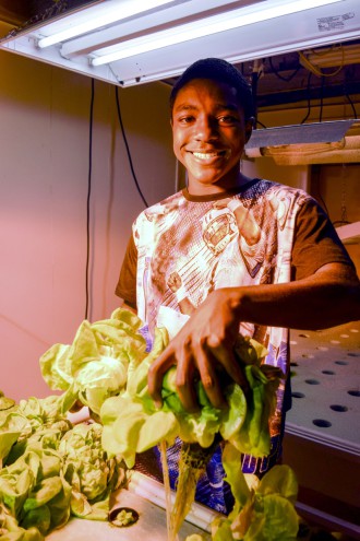 LEARNING ABOUT LETTUCE: Jeremiah, who was a junior leader at Eliada's summer camp this year, helps grow and harvest lettuce in the new hydroponic lab. Photo courtesy of Eliada