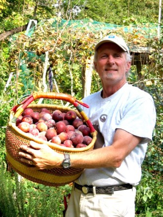Andrew Goodheart Brown with a harvest of organically raised apples in East Asheville. Photo courtesy of Winrock International