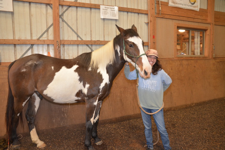 Equine specialist Nicole Halperin with Bill the therapy horse at Horse Sense of the Carolinas (Photo by Leslie Boyd)