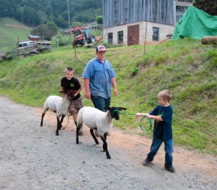 FLUFFY EDUCATION: Local 4-H clubs offer a plethora of clinics, classes and camps for members, giving kids a chance to get hands-on training with livestock. Photo courtesy of Buncombe County 4-H