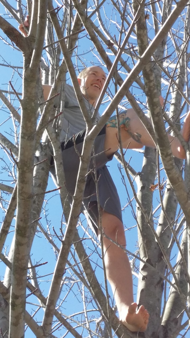 Mo Goldstein shows off his human potential by climbing a tree outside the offices of Apeiron Center. Goldstein is a massage and bodywork therapist; separately, he also coaches clients in epigenetics. 