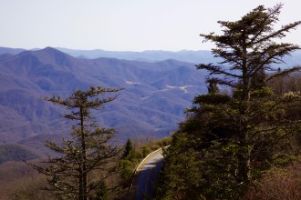 FOREST FUTURE:  A collaboration of groups helped expand land protected along the Blue Ridge Parkway. Now it will take further collaboration to determine what to do with it. Photo courtesy of the Blue Ridge Parkway