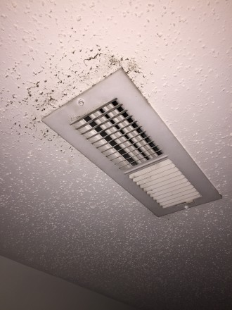 EASY TO SPREAD: Once mold spores enter a home's central heating and air conditioning system, they can spread throughout the home. In this photo, mold grows next to an air vent. Photo by Rick Bayless 