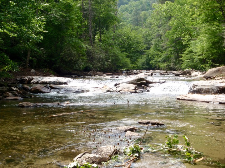 RUNNING WILD:  Until 2017, a fish dam in this spot held back Santeetlah Creek, a stream in Nantahala National Forest to the southwest of Asheville. Photo courtesy of the U.S. Forest Service