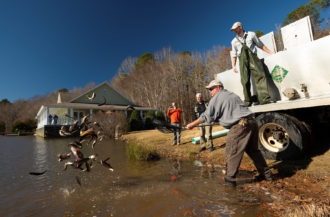N.C. Wildlife Resource Commission staff stocking trout