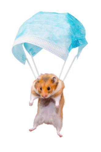 Hamster with mask parachute