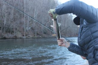 Galen Kipar returning a trout to the Watauga River
