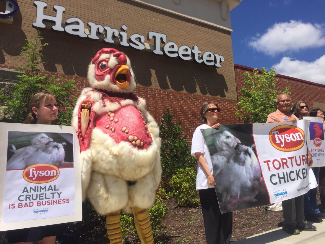 Giving a cluck: Animal activists hold demonstration at ...