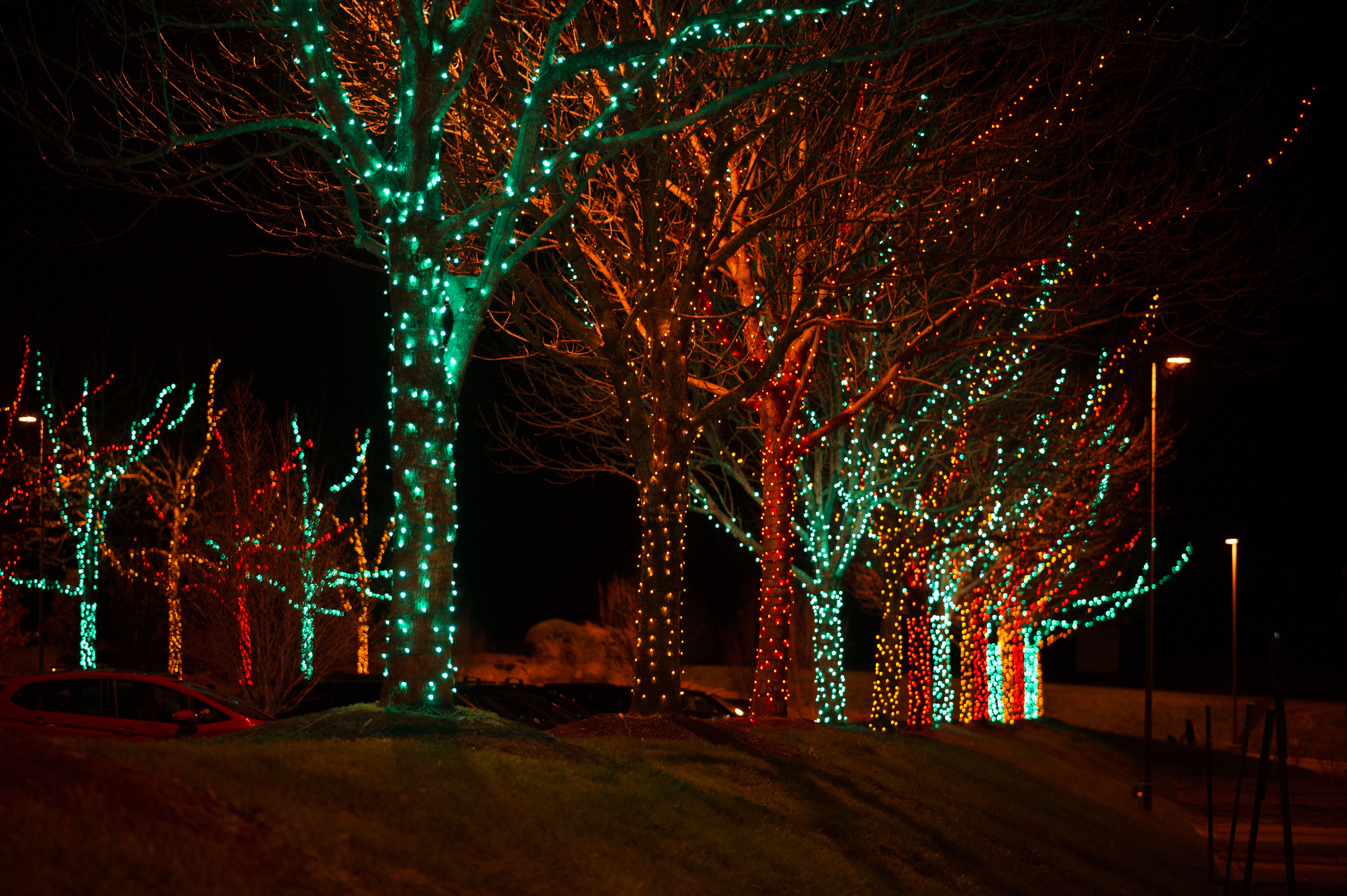 Parking Lot Lights. Photo By Pat Barcas. 