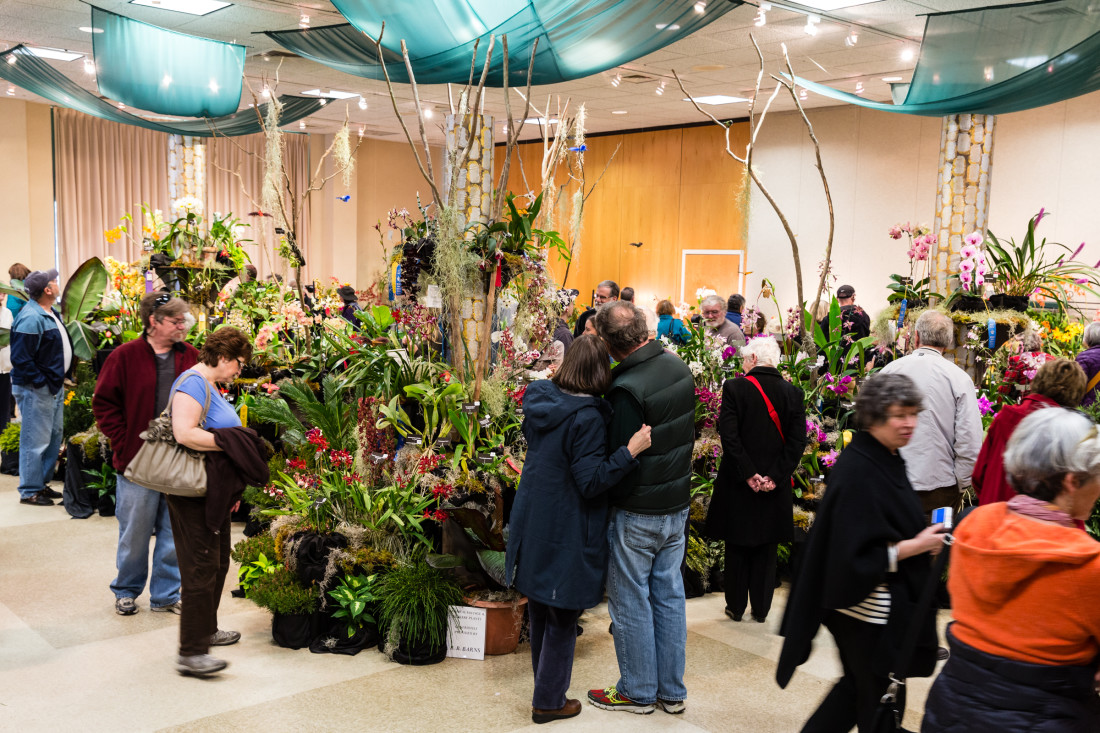 Farm & Garden Asheville Orchid Festival will draw thousands Mountain