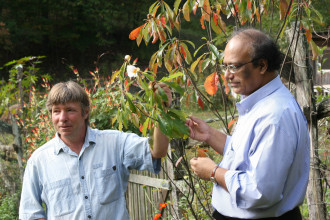 APPALACHIAN GROWN: Dr. Hassan Amjad, right, shows a Franklinia tea tree to Peter Hues. “In many cases, herbal medicines are superior to pharmaceuticals, without side effects, and far less expensive for the patient,” says Amjad. Photo courtesy of Jafary Academy
