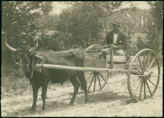 Black man in wagon leaving North Carolina