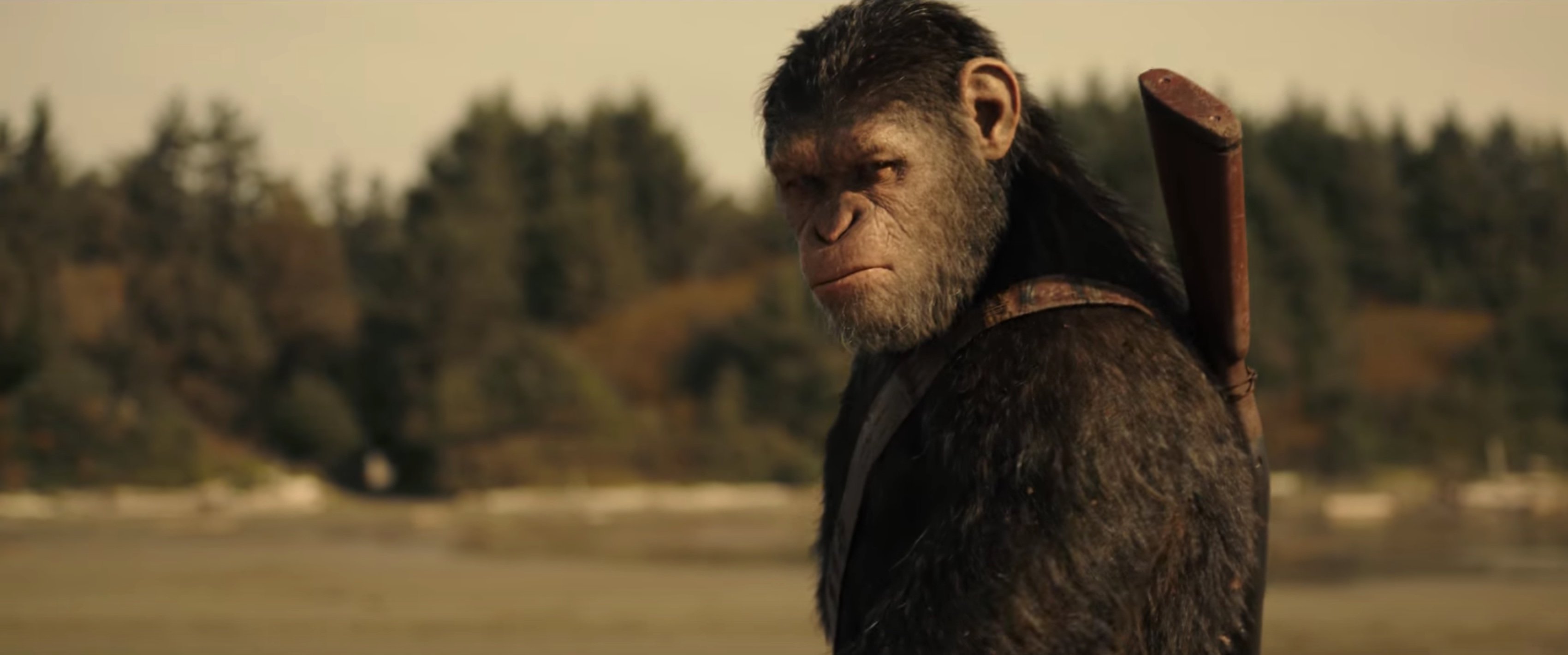 War for the Planet of the Apes | Mountain Xpress