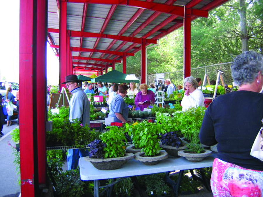 Asheville Spring Herb Festival returns with native plants