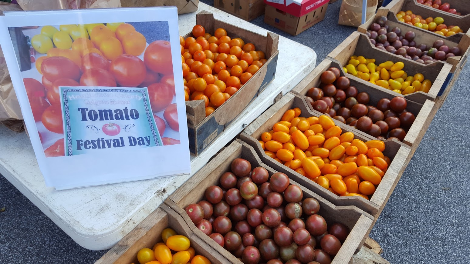 Tomato Festival features new varieties, growing tips Mountain Xpress