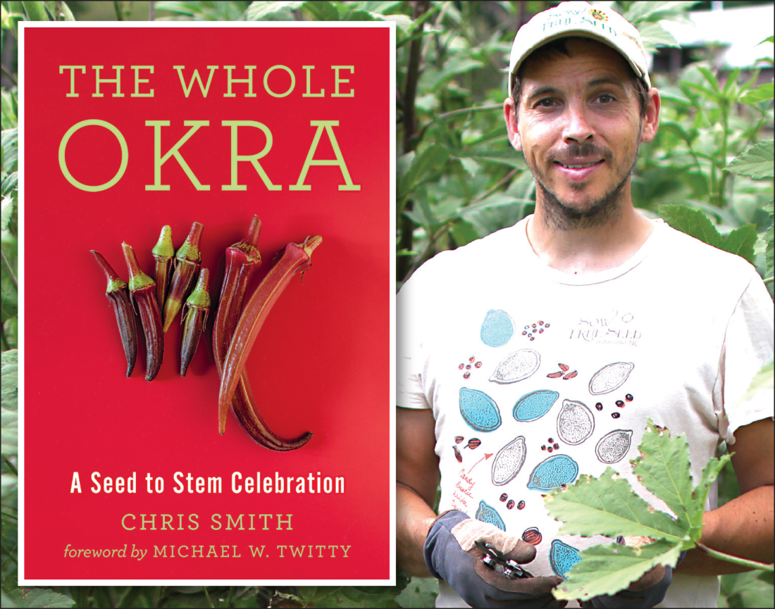 literature review of okra