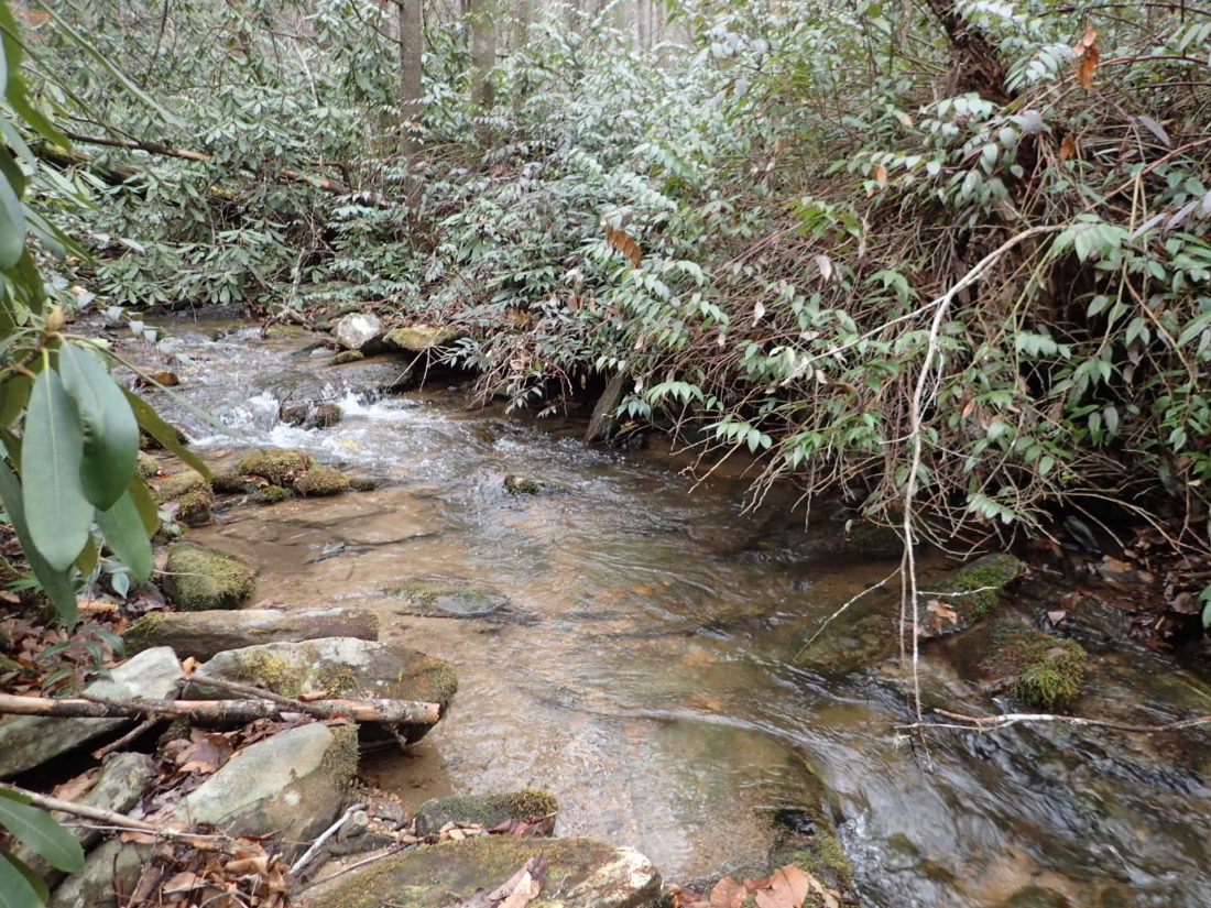 Cherryfield Creek