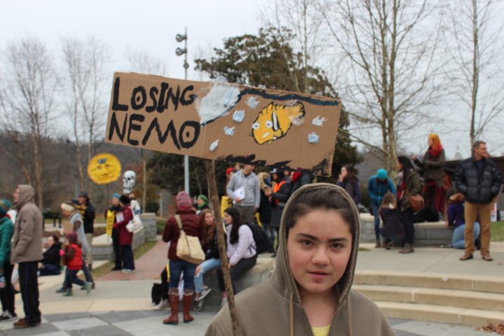 "Losing Nemo" sign at Asheville Climate Strike