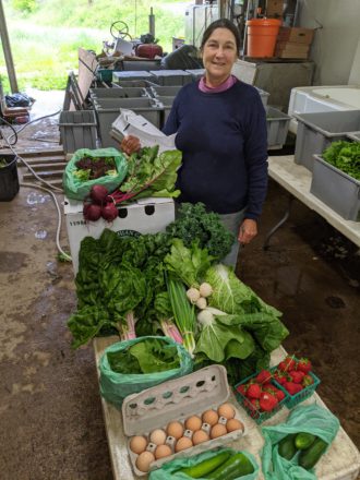 Julie Mansfield of Mountain Harvest Organics packing vegetables