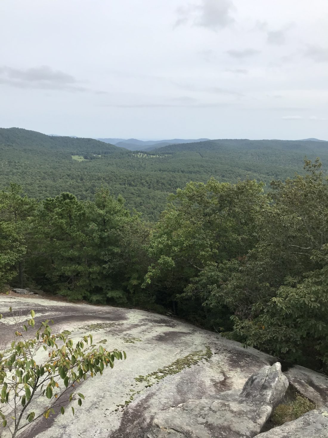 Color Show: Short Fall Walks Lead To Long Views 