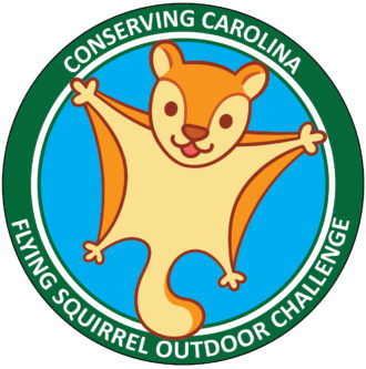 Flying Squirrel Outdoor Challenge logo