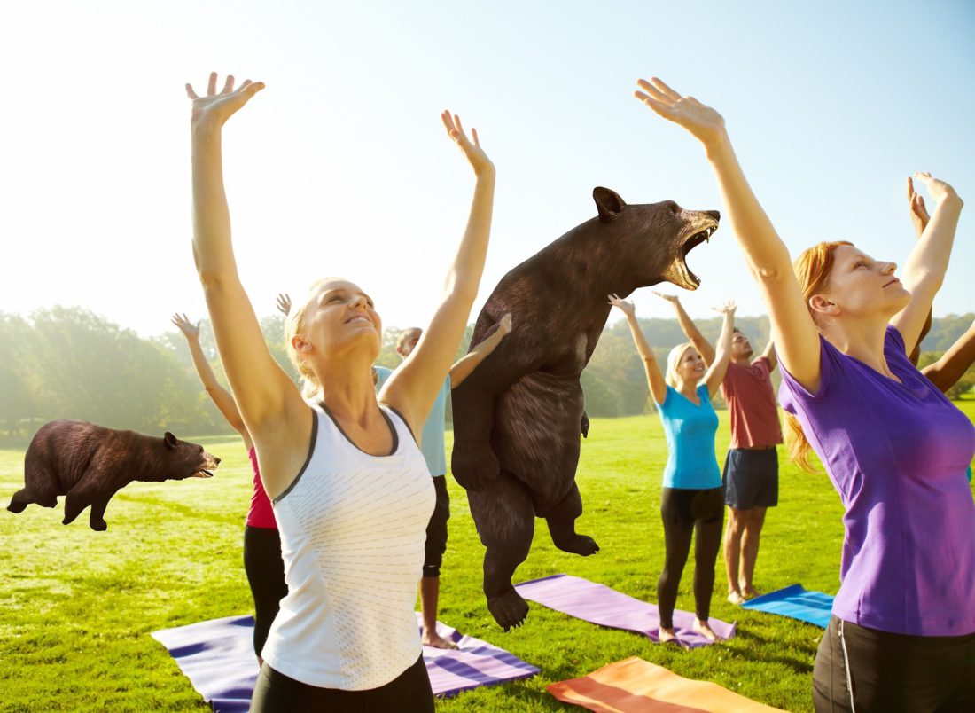 Bear yoga