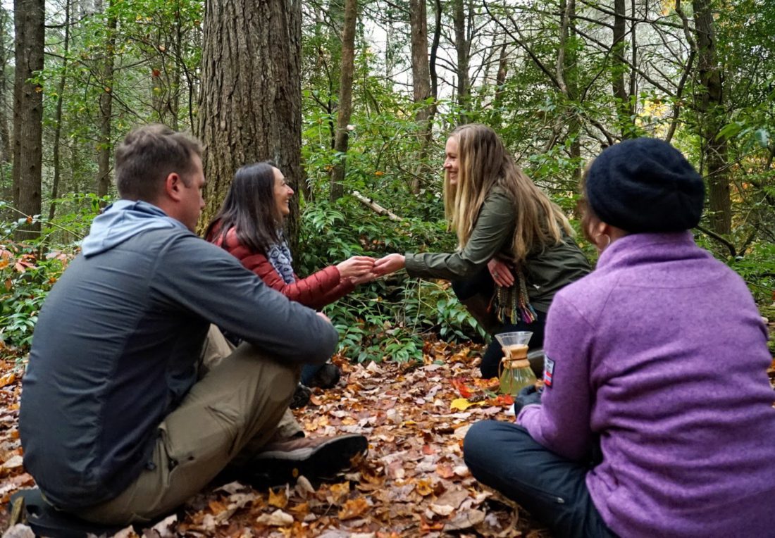 Forest bathing tea ceremony