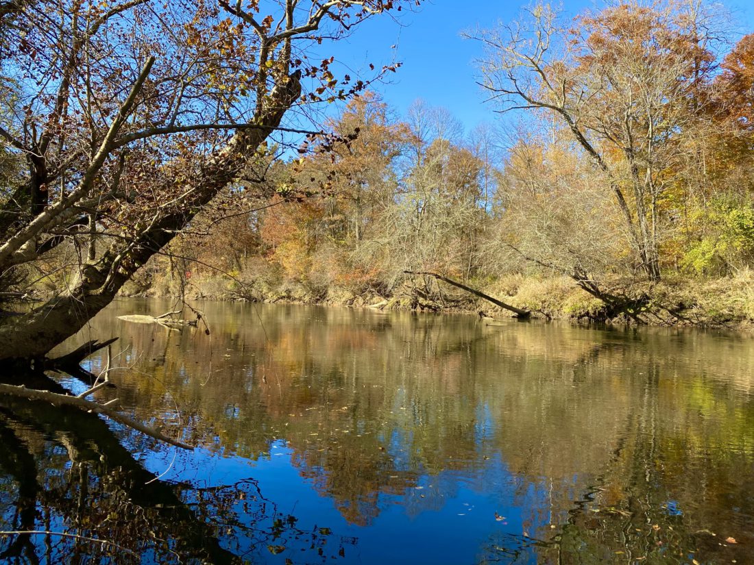 French Broad River from King's Bridge